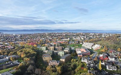 STEINAN PARK DRIFTSFORENING