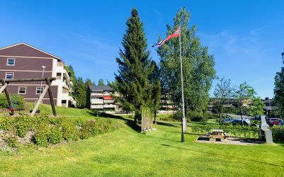 VESTRE INGIERÅSEN BOLIGSAMEIE