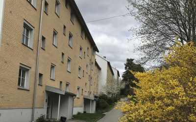 SAMEIET TONSENHAGEN 5
