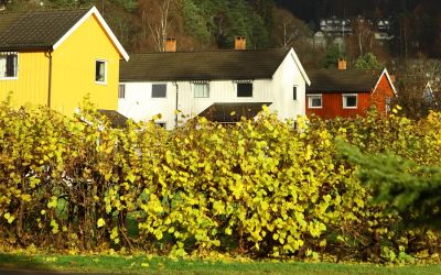 VESTBYSLETTA BORETTSLAG