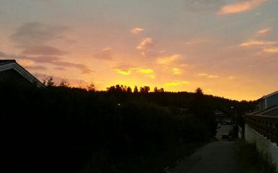 Skogen Boligsameie