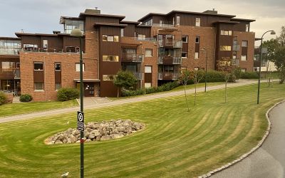 SAMEIET GAUSELBAKKEN PANORAMA I