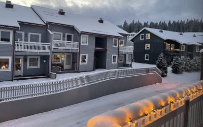 SAMEIET VARDEFJELLET III