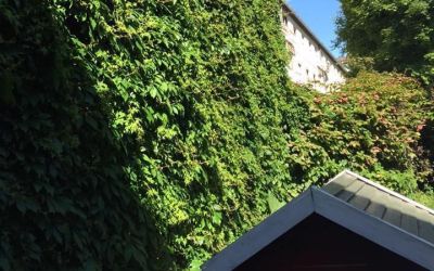 SÆTREHJØRNET BORETTSLAG