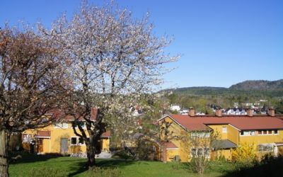 Boligsameiet Asker Hageby