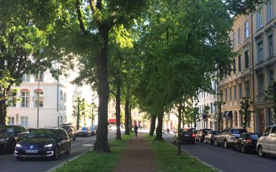 SAMEIET GYLDENLØVESGATE 4