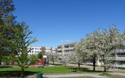JARBAKKEN BORETTSLAG