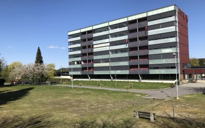 TRAKTORVEIEN BORETTSLAG