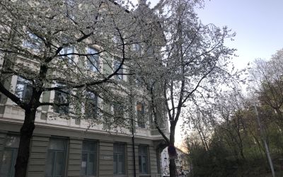 Sameiet Frydenlundsgata 8