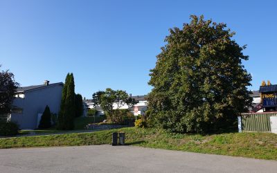 NEDRE HEGGELIA BORETTSLAG