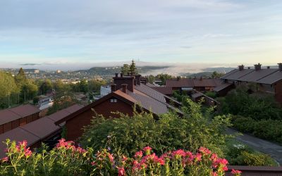 Søndre Fjeldstad Borettslag