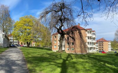 TEISEN PARK BORETTSLAG