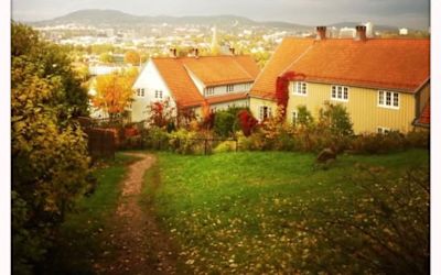 EIERSEKSJONSSAMEIET UTSIGTEN HUSVILDEKOLONI