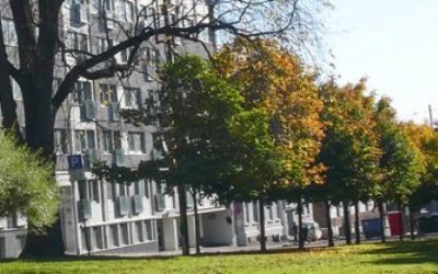 SAMEIET SCHULTZEHAUGEN 5