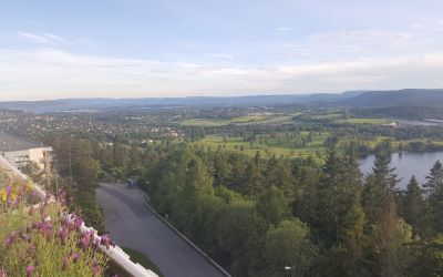 MÅLTROSTSKOGEN BORETTSLAG