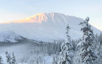 GAUSTATUNET BORETTSLAG