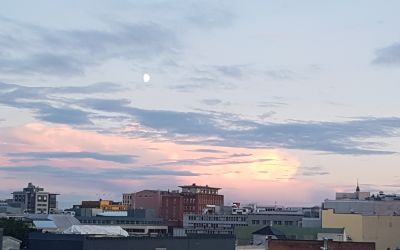 HAUSMANN BORETTSLAG