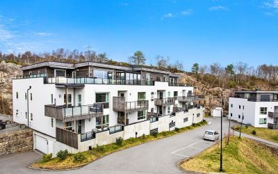 SAMEIET NØTTESKOGEN