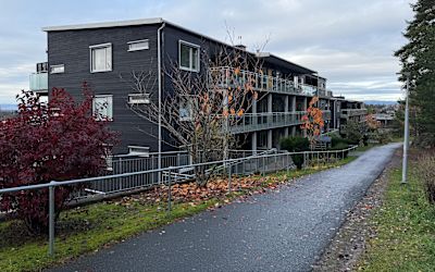 MIKKELSHØGDA BORETTSLAG