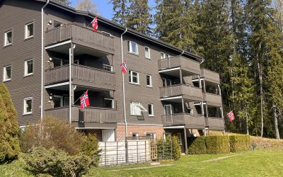 VESLESKOGEN BORETTSLAG