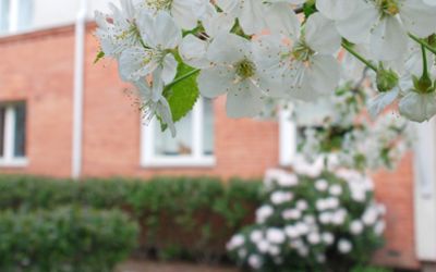 ÅLESUNDGATA 3 BORETTSLAG