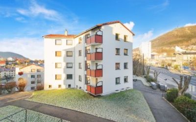 BOLIGAKSJESELSKAPET TRIANGELHUS