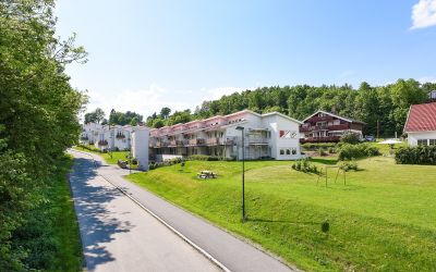 BLOMSTERSTYKKET I BOLIGSAMEIE
