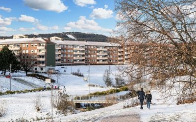 Bjerkedalen Borettslag