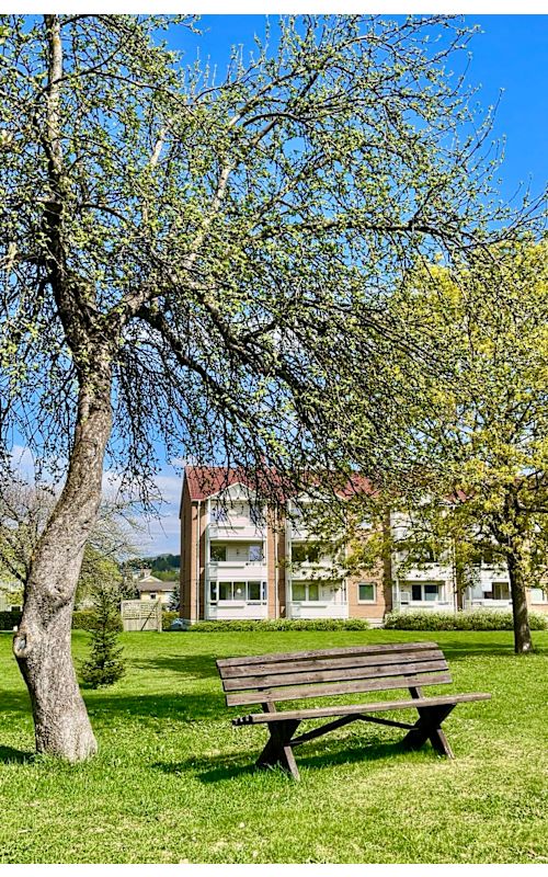 Velkommen til en rolig stund i Teisen park
