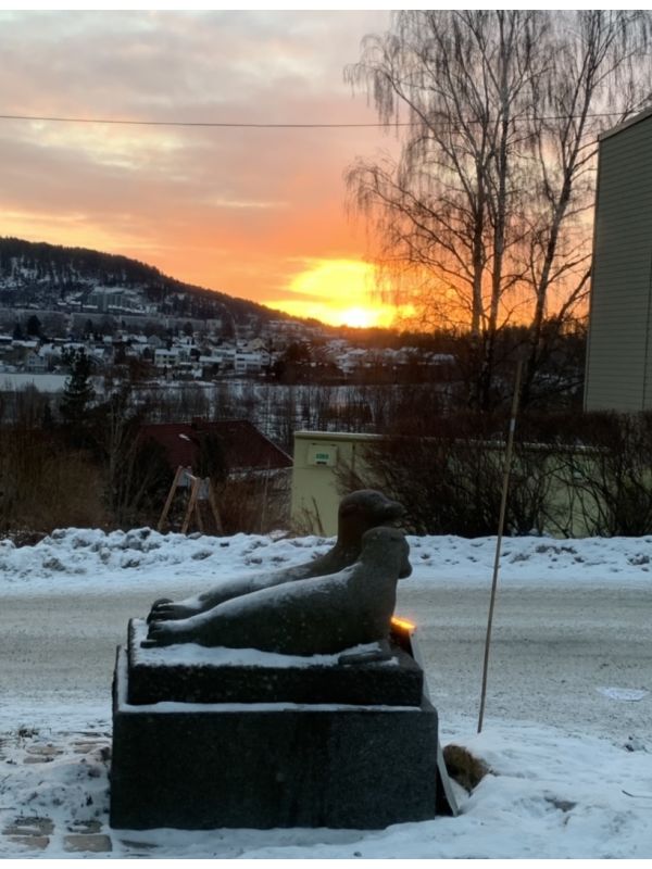 Morgensol i Brekkelia