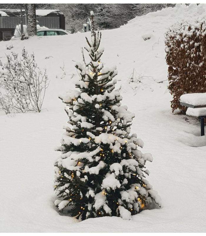 Vinter