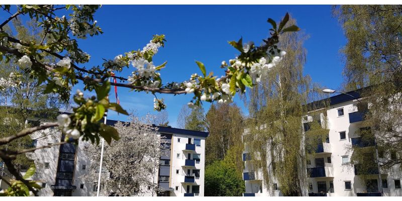 Langmyra borettslag 