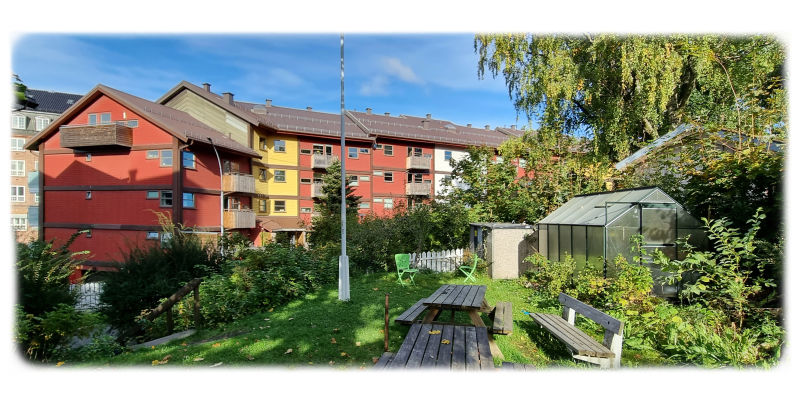 1. oktober 2024: Bakgården til Fjellgata 1.