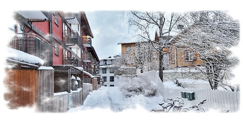 8. januar 2025: Mye snø i bakgården til Fjellgata 2.