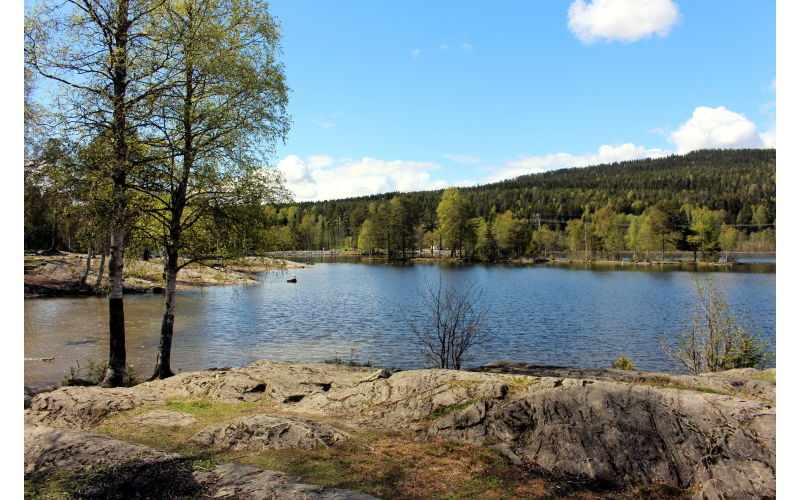 Sognsvann