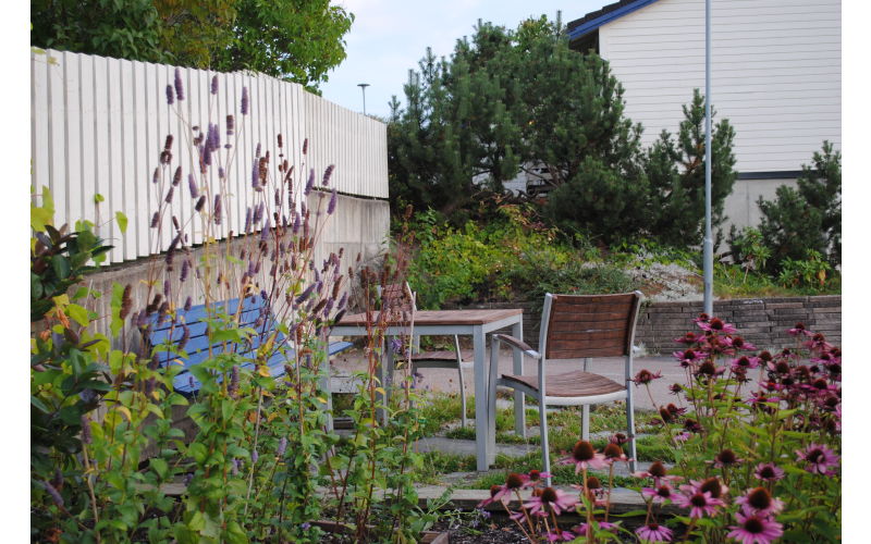 Grønn gruppe laget blomsterbed av gammel sandkasse