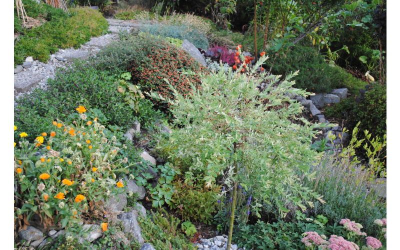 Det er mange vakre blomsterbed i Gamlelinja