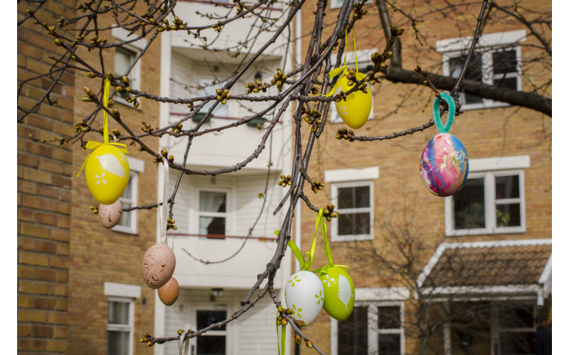 Eggejakt i bakgården, påsken 2015