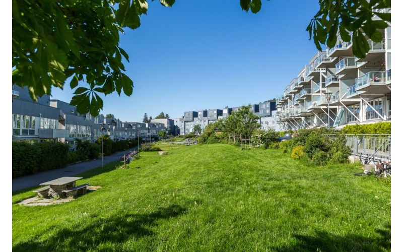 Årvollskogen sitt parkområde en vakker sommerdag. Sameie 2 sine boliger er på høyre side av bildet.