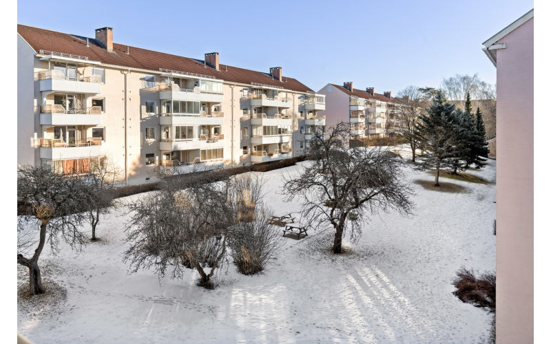 Hagen mellom Langbølgen og Skiferveien på en fin vinterdag ❄️