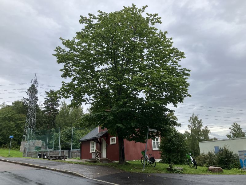 Felleshuset "Det røde huset Rabben" leies ut og har adresse Gaustadveien 25. Foto: Terje Grytbakk