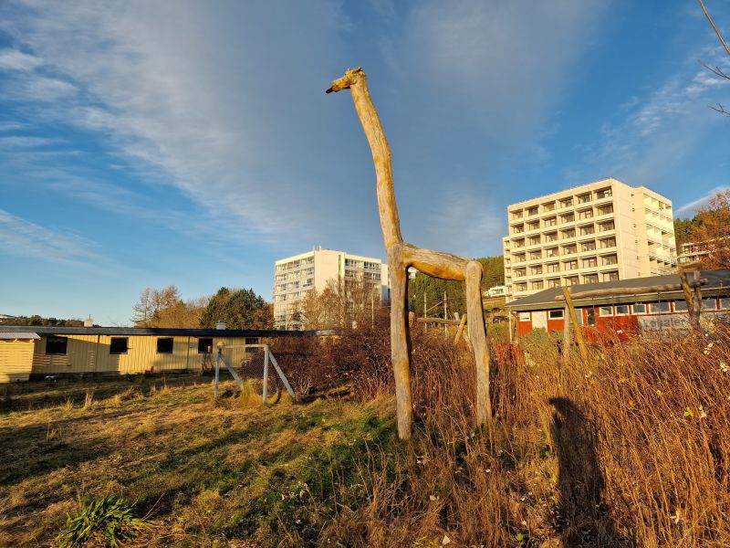 Bilde tatt fra gamle barnehage sørøst for Åsebøen 9