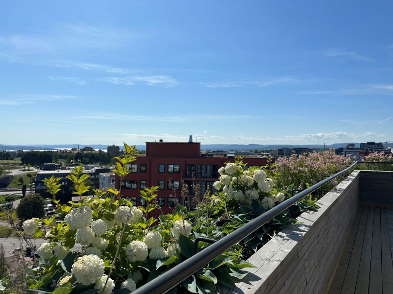 Store, felles takterrasser med god utsikt