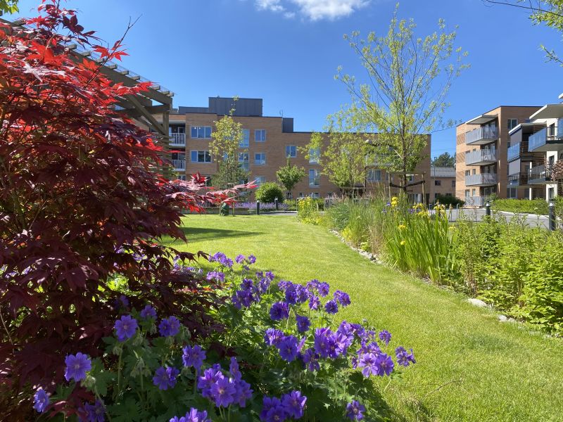 Utsnitt fra vårt flotte parkanlegg